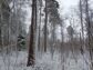 участок 22 сот