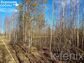 участок 8 сот