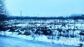 участок 8 сот
