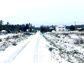 участок 10 сот