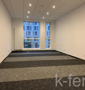 квартира 27 метров