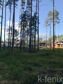 участок 30 сот