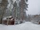 участок 22 сот