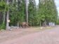 дом 90 метров, участок 10 сот