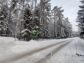 участок 12 сот