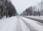 участок 20 сот
