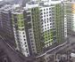 квартира 55 метров