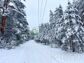 участок 7 сот