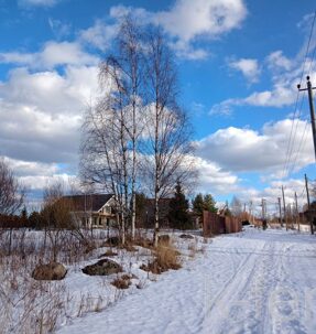 участок 10 сот