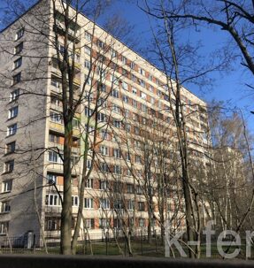 квартира 36 метров