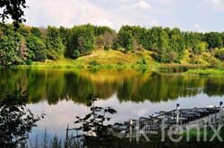 ДНП "Турышкино"