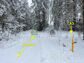 участок 7 сот