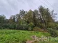 участок 12 сот