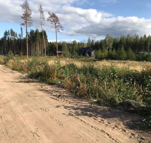 участок 36 сот