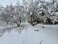 участок 11 сот