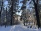 участок 22 сот