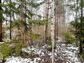 участок 6 сот