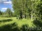 участок 12 сот