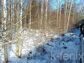 участок 10 сот