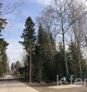 участок 18 сот