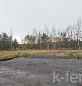 участок 266 сот