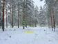 участок 7 сот